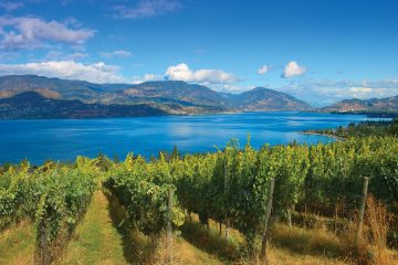 groupon wine tours kelowna