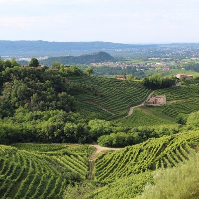 Tuscany wine region in Italy - the place that ignited by love for the wine industry