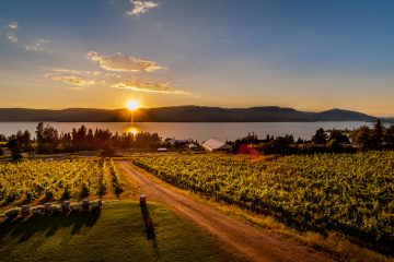 evening wine tours kelowna