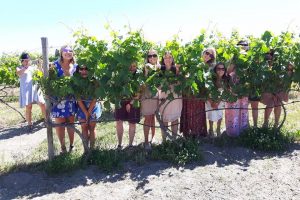 fun-in-the-vineyards-1