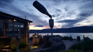 Sunset Wine Tour